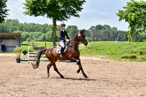 Goldene Schärpe PFerde  in Löningen  11+12.6.22 | 22062022 Springen 2 Abt _505 