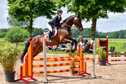 Goldene Schärpe PFerde  in Löningen  11+12.6.22 | 22062022 Springen 2 Abt _506 