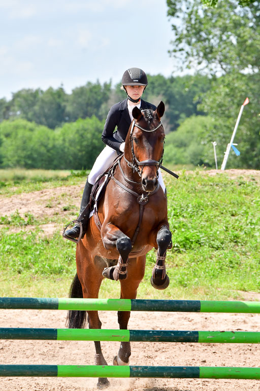 Goldene Schärpe PFerde  in Löningen  11+12.6.22 | 22062022 Springen 2 Abt _508 