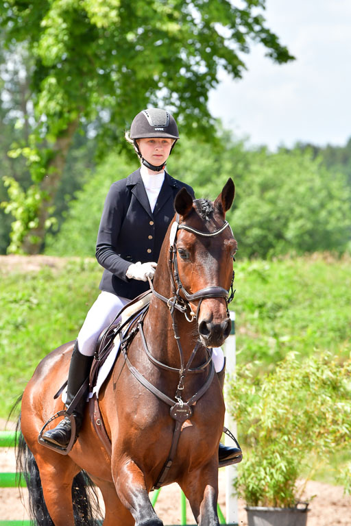 Goldene Schärpe PFerde  in Löningen  11+12.6.22 | 22062022 Springen 2 Abt _509 