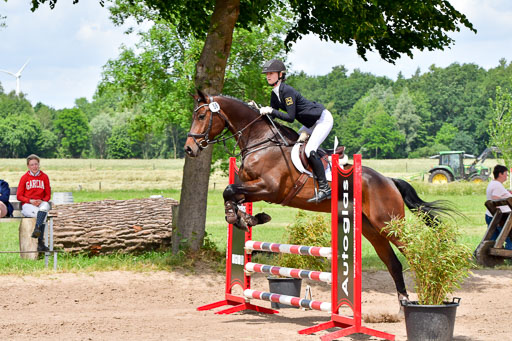 Goldene Schärpe PFerde  in Löningen  11+12.6.22 | 22062022 Springen 2 Abt _511 