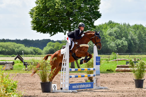 Goldene Schärpe PFerde  in Löningen  11+12.6.22 | 22062022 Springen 2 Abt _513 