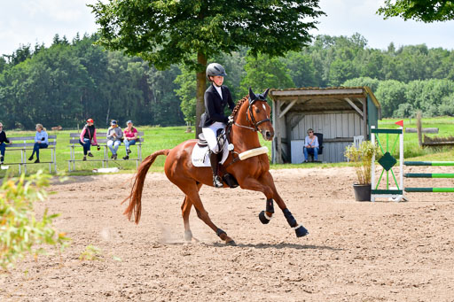 Goldene Schärpe PFerde  in Löningen  11+12.6.22 | 22062022 Springen 2 Abt _515 