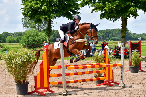 Goldene Schärpe PFerde  in Löningen  11+12.6.22 | 22062022 Springen 2 Abt _518 