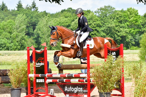 Goldene Schärpe PFerde  in Löningen  11+12.6.22 | 22062022 Springen 2 Abt _525 