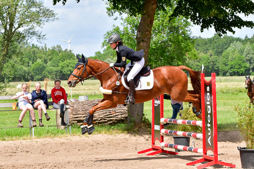 Goldene Schärpe PFerde  in Löningen  11+12.6.22 | 22062022 Springen 2 Abt _526 