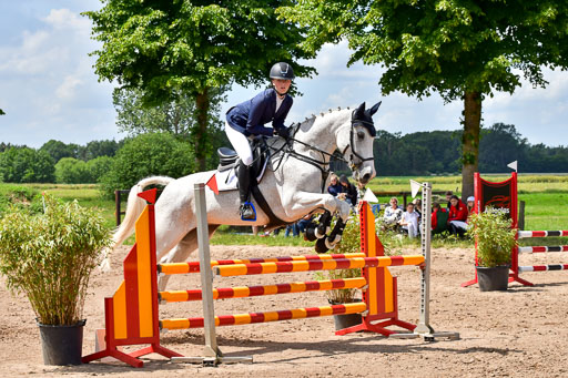 Goldene Schärpe PFerde  in Löningen  11+12.6.22 | 22062022 Springen 2 Abt _530 