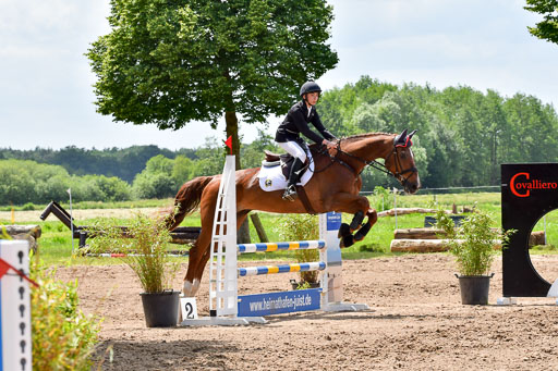 Goldene Schärpe PFerde  in Löningen  11+12.6.22 | 22062022 Springen 2 Abt _538 
