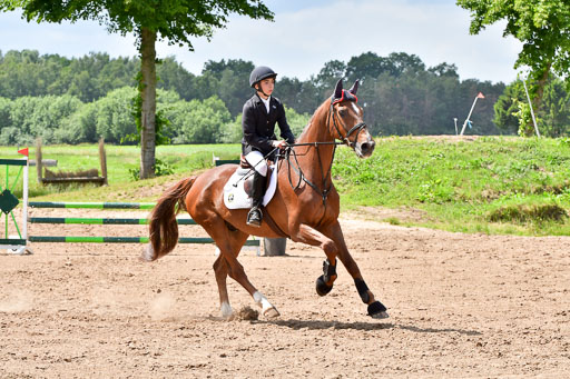Goldene Schärpe PFerde  in Löningen  11+12.6.22 | 22062022 Springen 2 Abt _539 