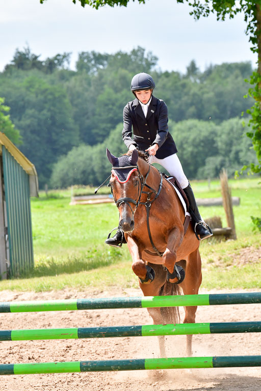 Goldene Schärpe PFerde  in Löningen  11+12.6.22 | 22062022 Springen 2 Abt _543 
