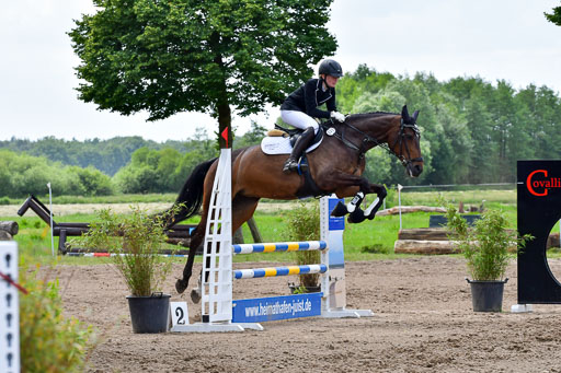 Goldene Schärpe PFerde  in Löningen  11+12.6.22 | 22062022 Springen 2 Abt _547 