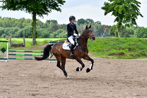 Goldene Schärpe PFerde  in Löningen  11+12.6.22 | 22062022 Springen 2 Abt _548 