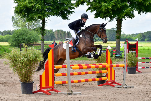 Goldene Schärpe PFerde  in Löningen  11+12.6.22 | 22062022 Springen 2 Abt _550 