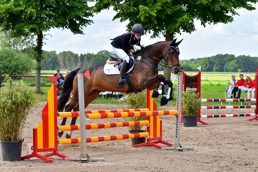 Goldene Schärpe PFerde  in Löningen  11+12.6.22 | 22062022 Springen 2 Abt _551 