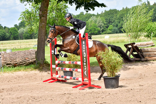 Goldene Schärpe PFerde  in Löningen  11+12.6.22 | 22062022 Springen 2 Abt _559 