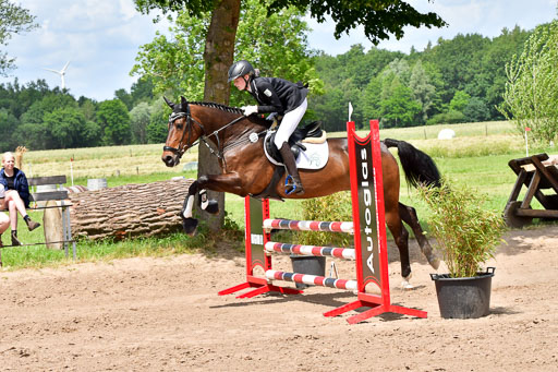 Goldene Schärpe PFerde  in Löningen  11+12.6.22 | 22062022 Springen 2 Abt _560 