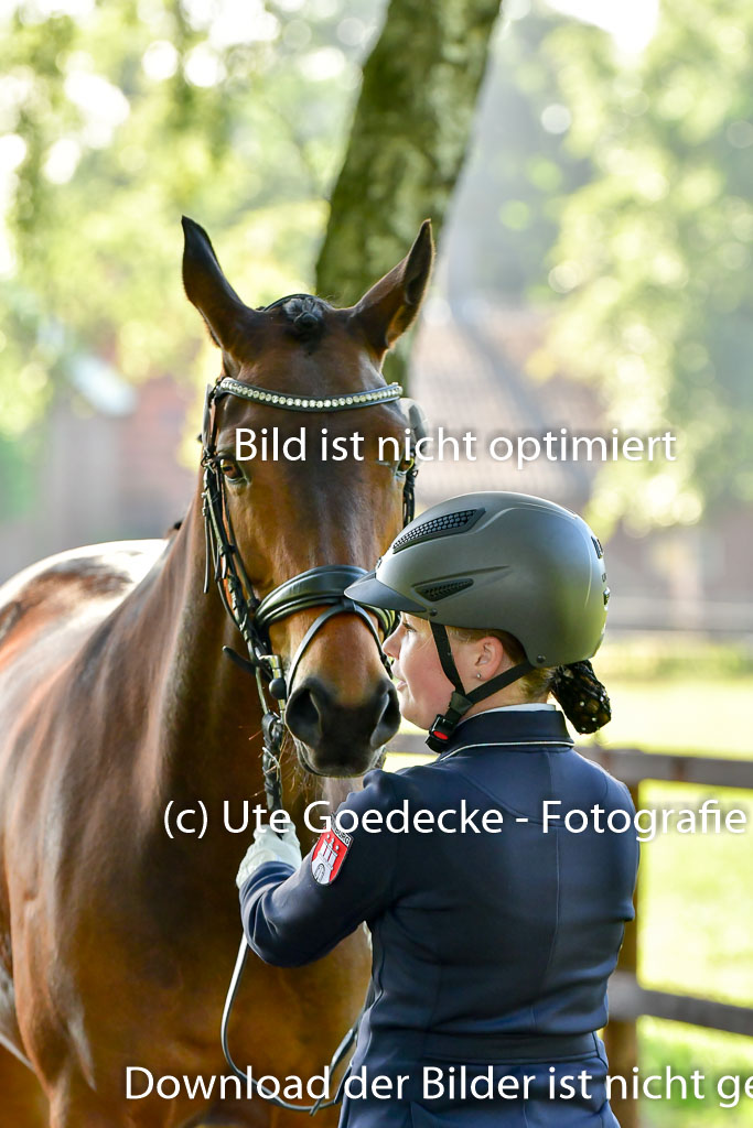 Goldene Schärpe PFerde  in Löningen  11+12.6.22 | 12062022 Vormustern_004 