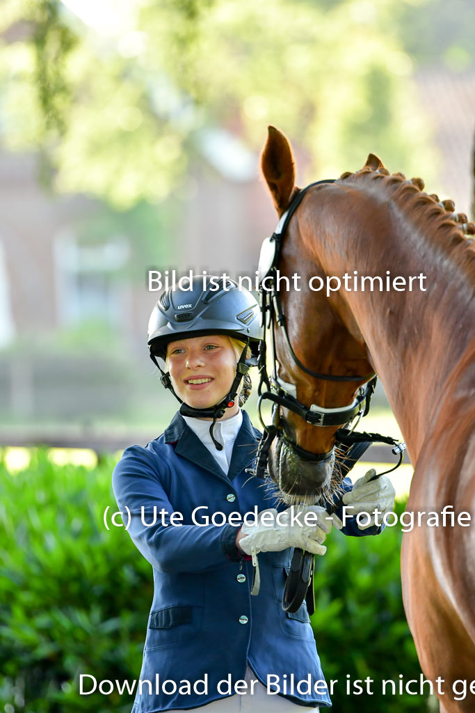 Goldene Schärpe PFerde  in Löningen  11+12.6.22 | 12062022 Vormustern_006 