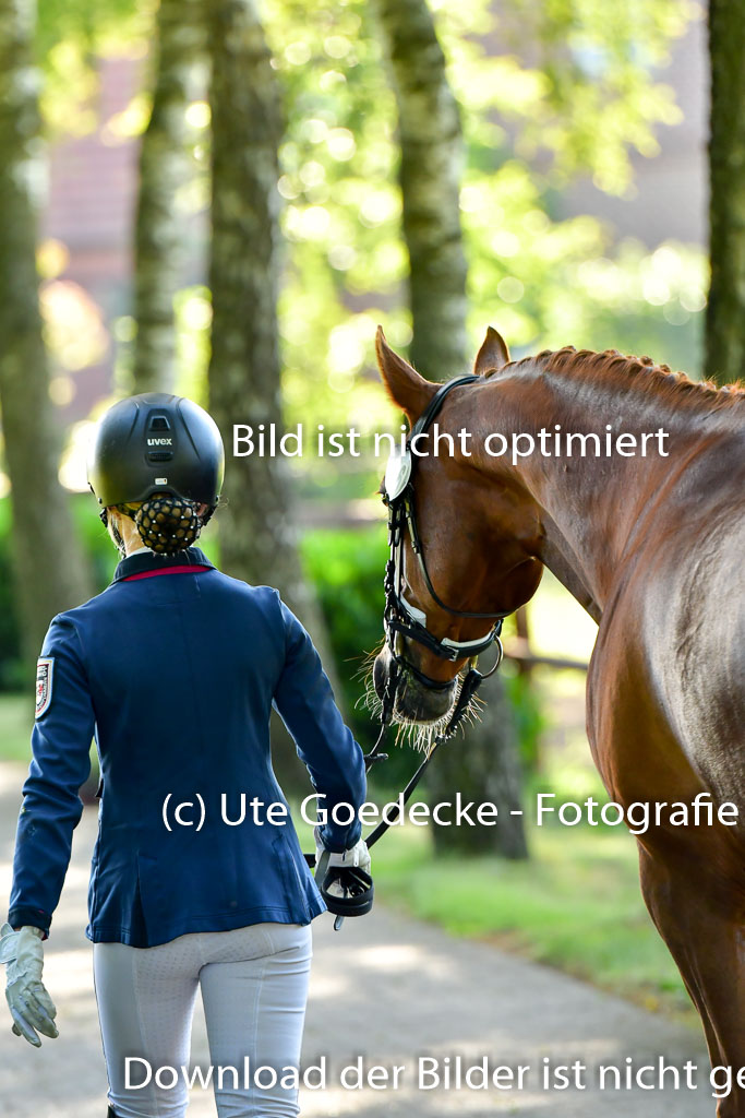 Goldene Schärpe PFerde  in Löningen  11+12.6.22 | 12062022 Vormustern_007 