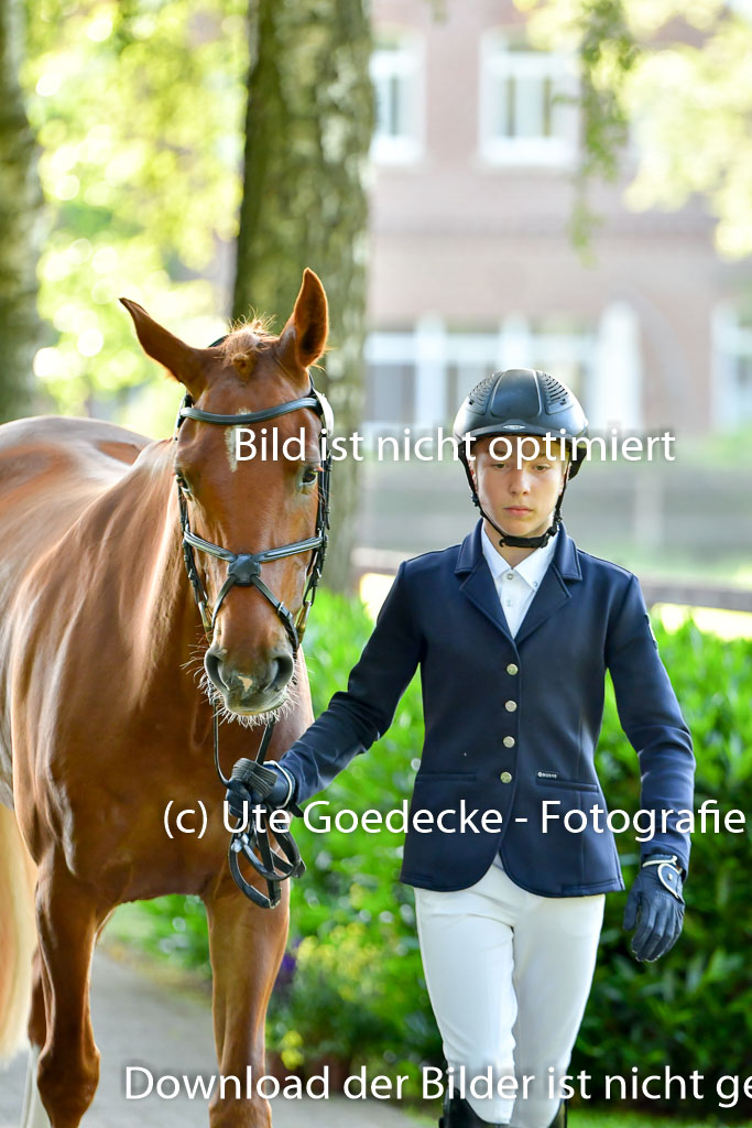 Goldene Schärpe PFerde  in Löningen  11+12.6.22 | 12062022 Vormustern_023 