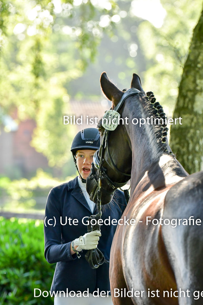 Goldene Schärpe PFerde  in Löningen  11+12.6.22 | 12062022 Vormustern_025 