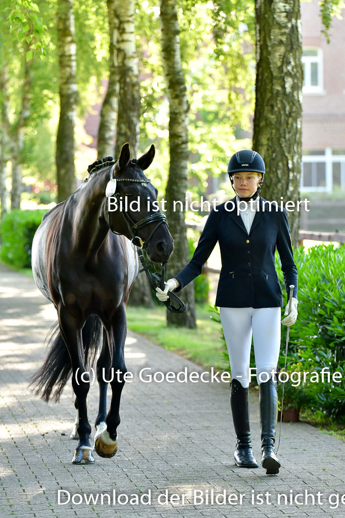 Goldene Schärpe PFerde  in Löningen  11+12.6.22 | 12062022 Vormustern_027 