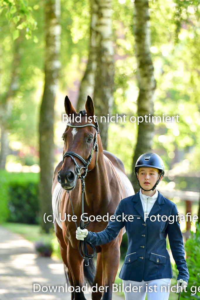 Goldene Schärpe PFerde  in Löningen  11+12.6.22 | 12062022 Vormustern_034 
