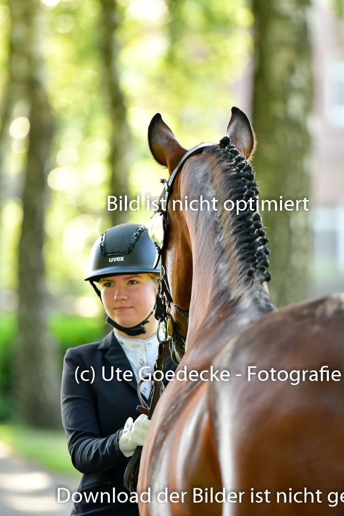 Goldene Schärpe PFerde  in Löningen  11+12.6.22 | 12062022 Vormustern_037 