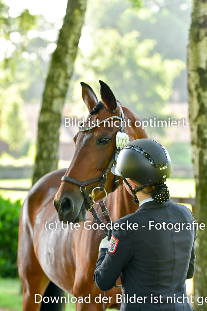 Goldene Schärpe PFerde  in Löningen  11+12.6.22 | 12062022 Vormustern_041 