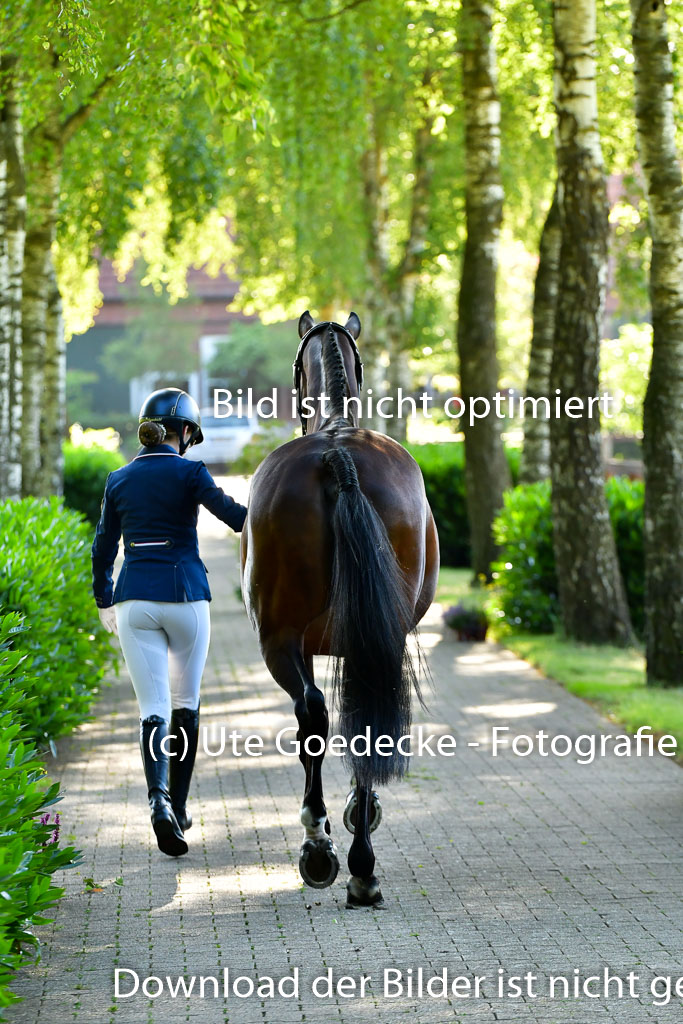 Goldene Schärpe PFerde  in Löningen  11+12.6.22 | 12062022 Vormustern_046 