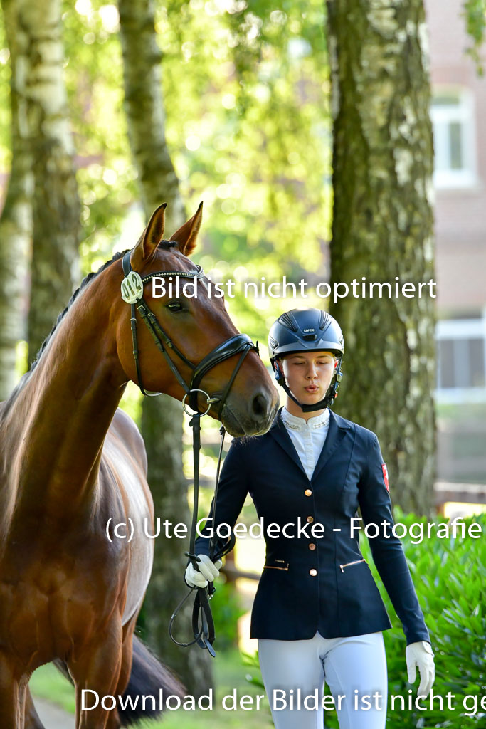 Goldene Schärpe PFerde  in Löningen  11+12.6.22 | 12062022 Vormustern_066 