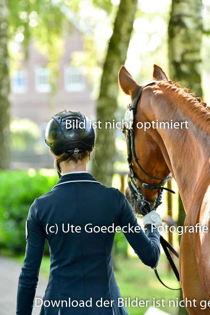 Goldene Schärpe PFerde  in Löningen  11+12.6.22 | 12062022 Vormustern_082 
