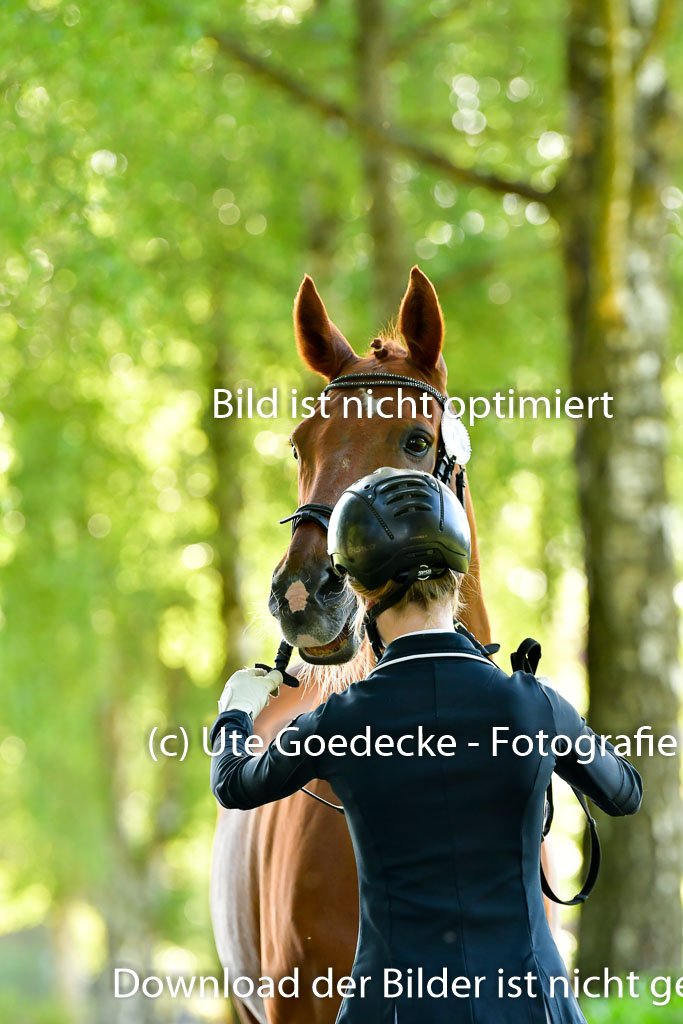 Goldene Schärpe PFerde  in Löningen  11+12.6.22 | 12062022 Vormustern_090 