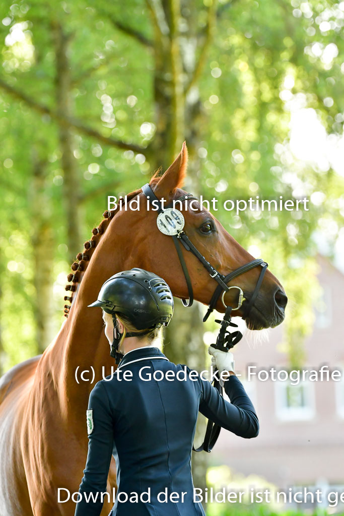 Goldene Schärpe PFerde  in Löningen  11+12.6.22 | 12062022 Vormustern_091 