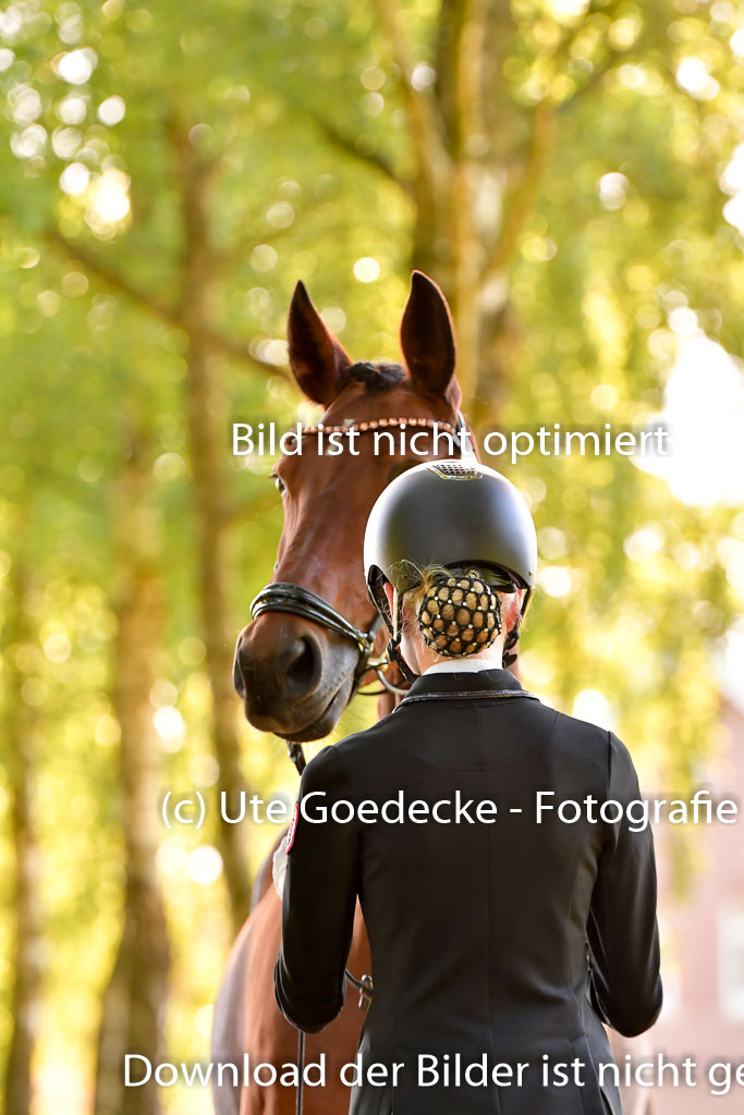 Goldene Schärpe PFerde  in Löningen  11+12.6.22 | 12062022 Vormustern_205 