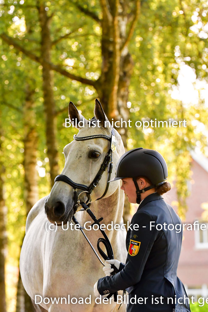 Goldene Schärpe PFerde  in Löningen  11+12.6.22 | 12062022 Vormustern_239 