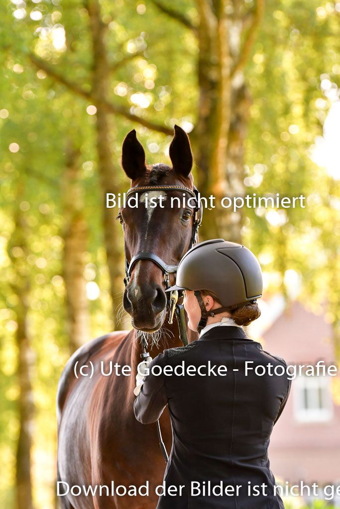 Goldene Schärpe PFerde  in Löningen  11+12.6.22 | 12062022 Vormustern_259 