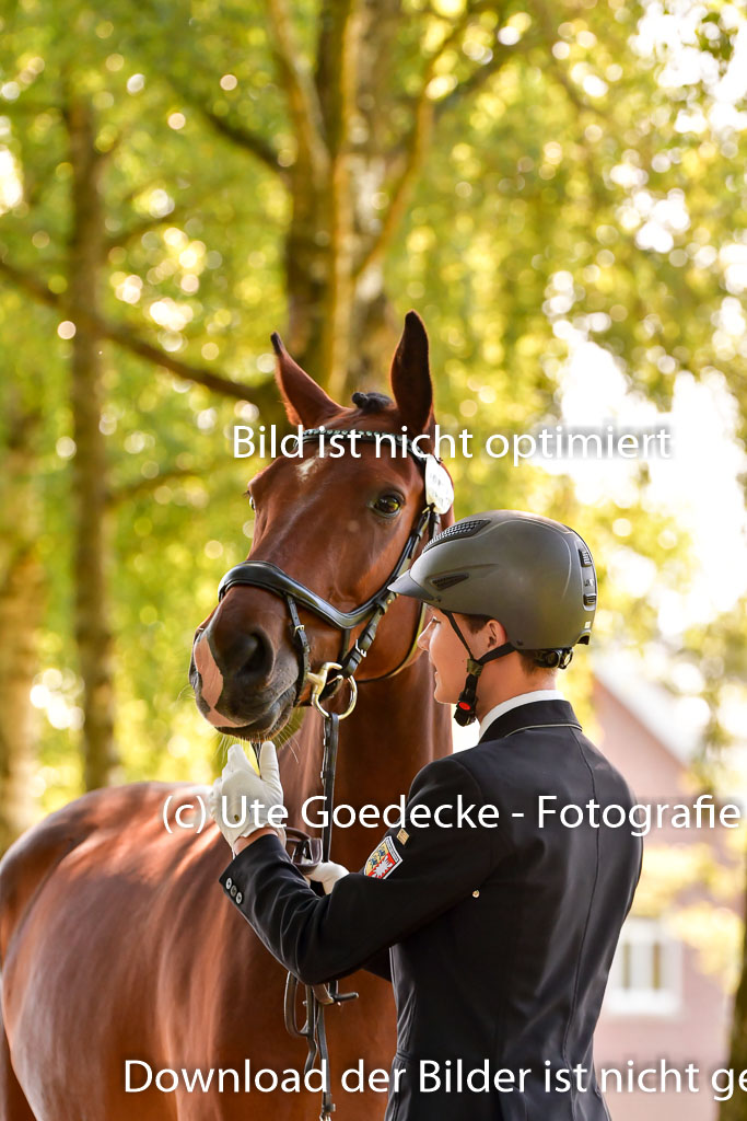 Goldene Schärpe PFerde  in Löningen  11+12.6.22 | 12062022 Vormustern_269 