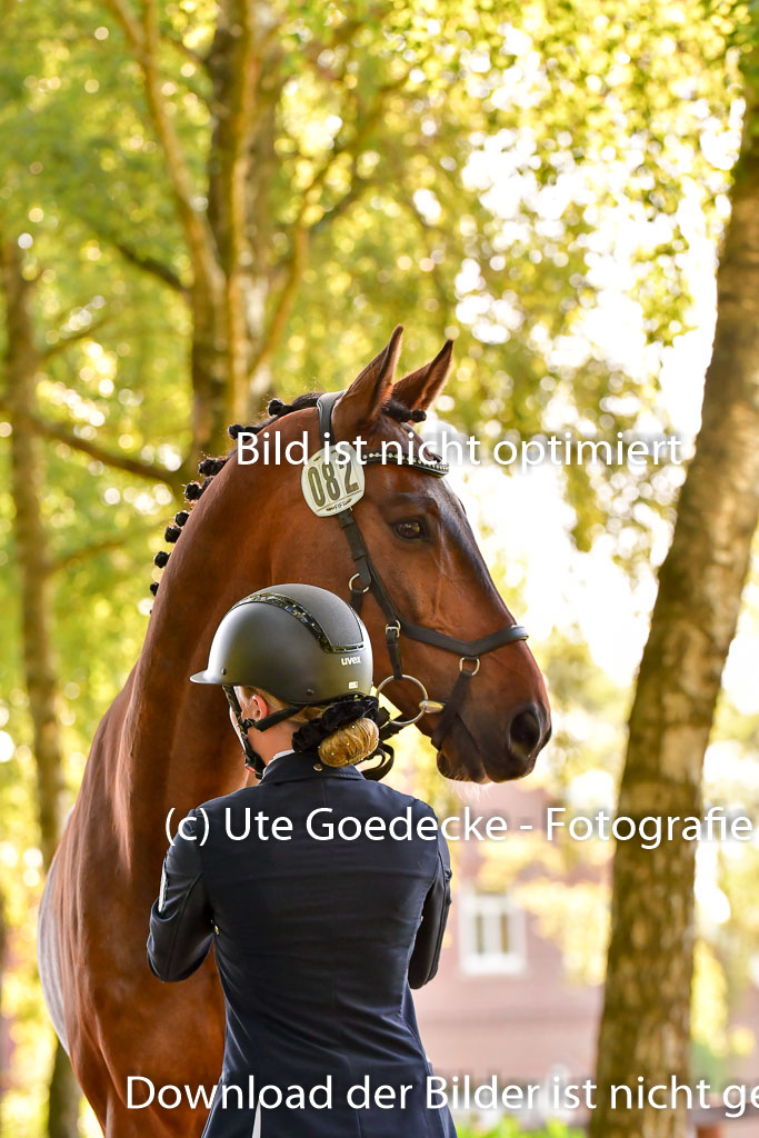 Goldene Schärpe PFerde  in Löningen  11+12.6.22 | 12062022 Vormustern_288 