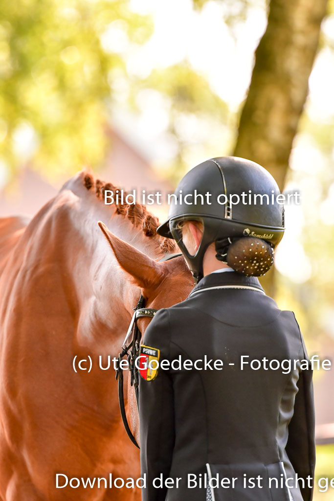 Goldene Schärpe PFerde  in Löningen  11+12.6.22 | 12062022 Vormustern_297 