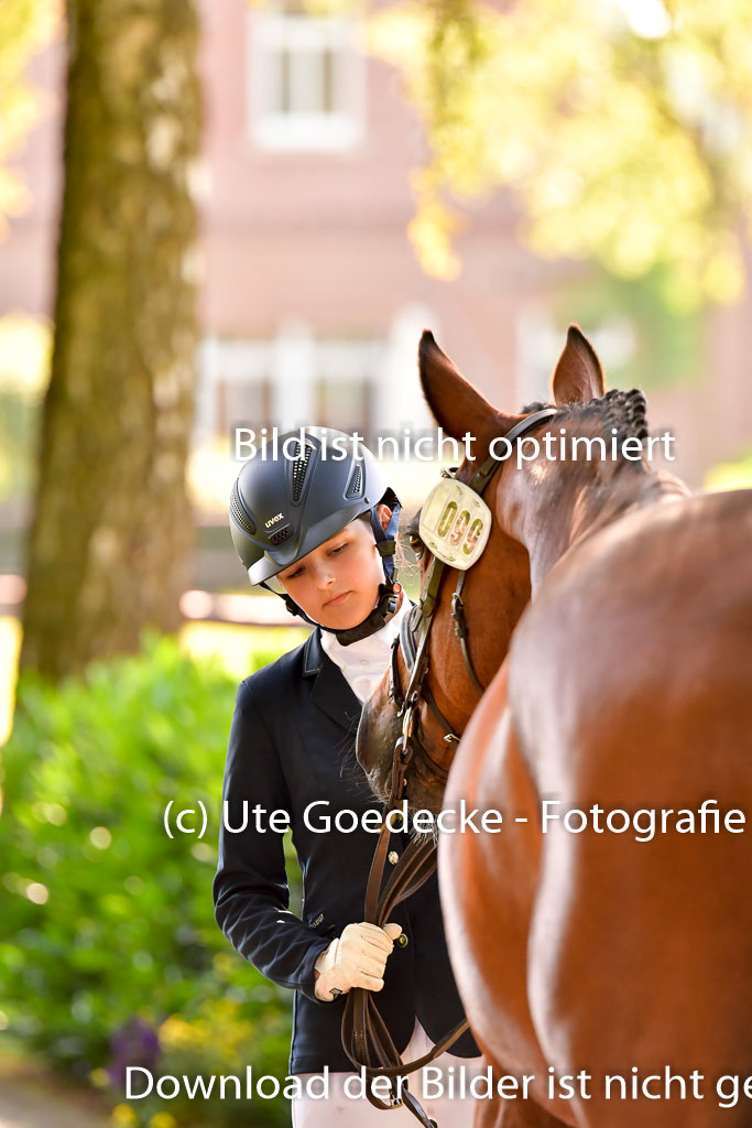 Goldene Schärpe PFerde  in Löningen  11+12.6.22 | 12062022 Vormustern_315 
