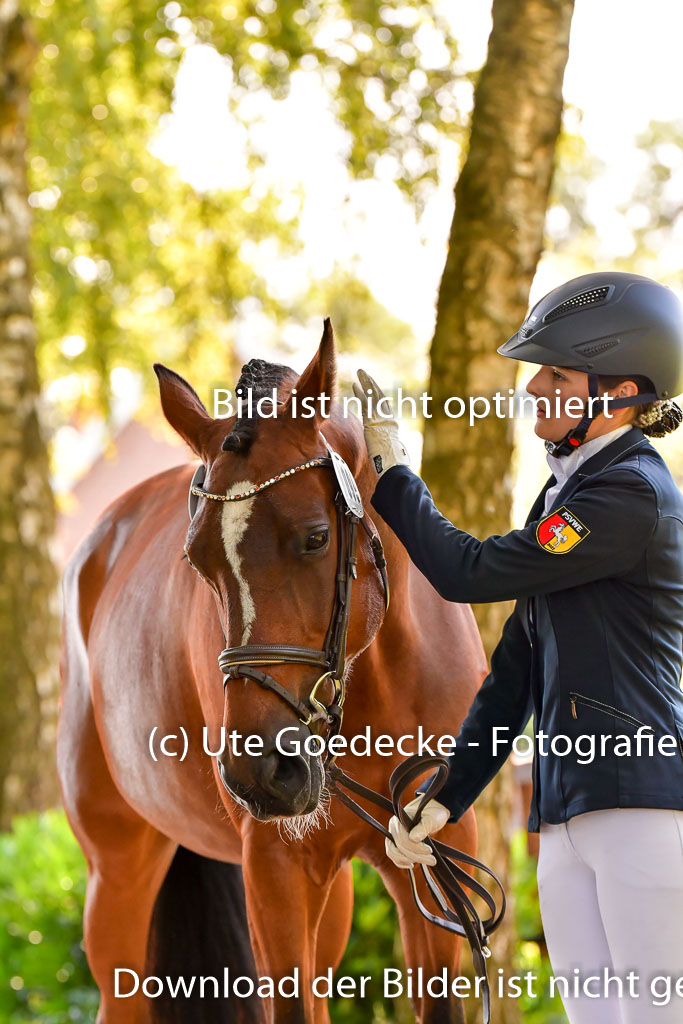 Goldene Schärpe PFerde  in Löningen  11+12.6.22 | 12062022 Vormustern_320 