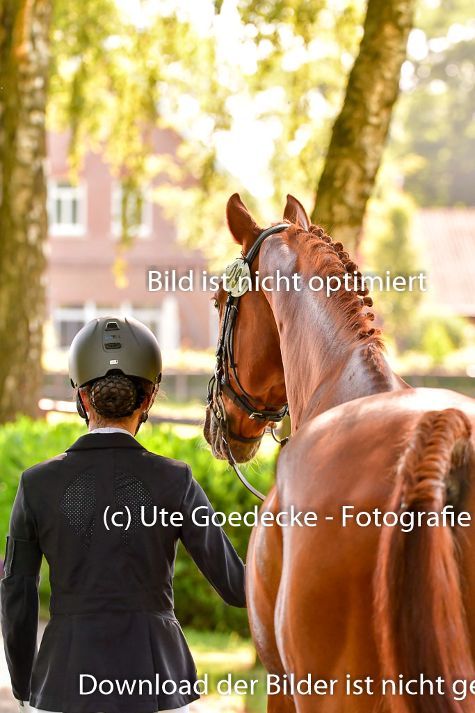 Goldene Schärpe PFerde  in Löningen  11+12.6.22 | 12062022 Vormustern_328 