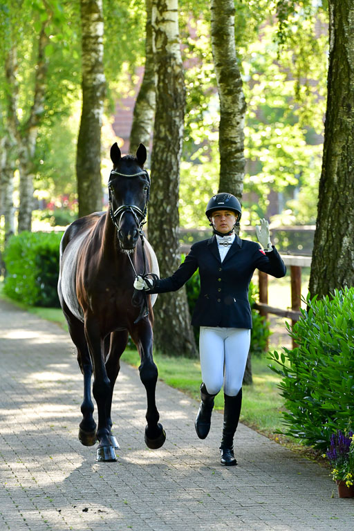 Goldene Schärpe PFerde  in Löningen  11+12.6.22 | 12062022 Vormustern_015 