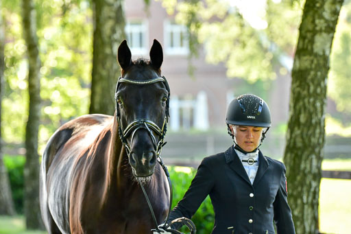Goldene Schärpe PFerde  in Löningen  11+12.6.22 | 12062022 Vormustern_016 