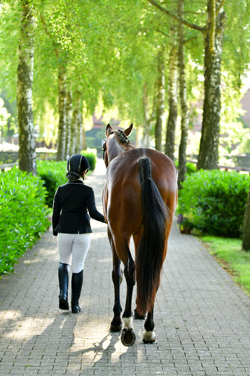 Goldene Schärpe PFerde  in Löningen  11+12.6.22 | 12062022 Vormustern_018 