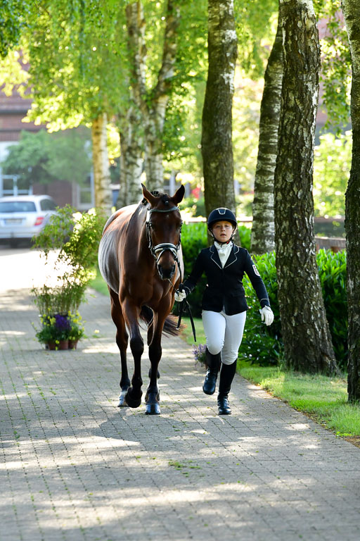 Goldene Schärpe PFerde  in Löningen  11+12.6.22 | 12062022 Vormustern_020 