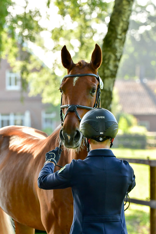 Goldene Schärpe PFerde  in Löningen  11+12.6.22 | 12062022 Vormustern_024 