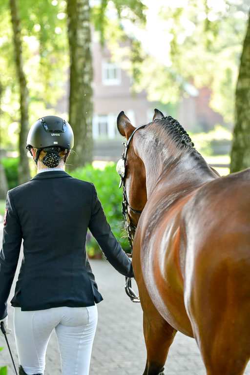 Goldene Schärpe PFerde  in Löningen  11+12.6.22 | 12062022 Vormustern_036 