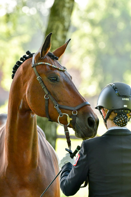 Goldene Schärpe PFerde  in Löningen  11+12.6.22 | 12062022 Vormustern_040 